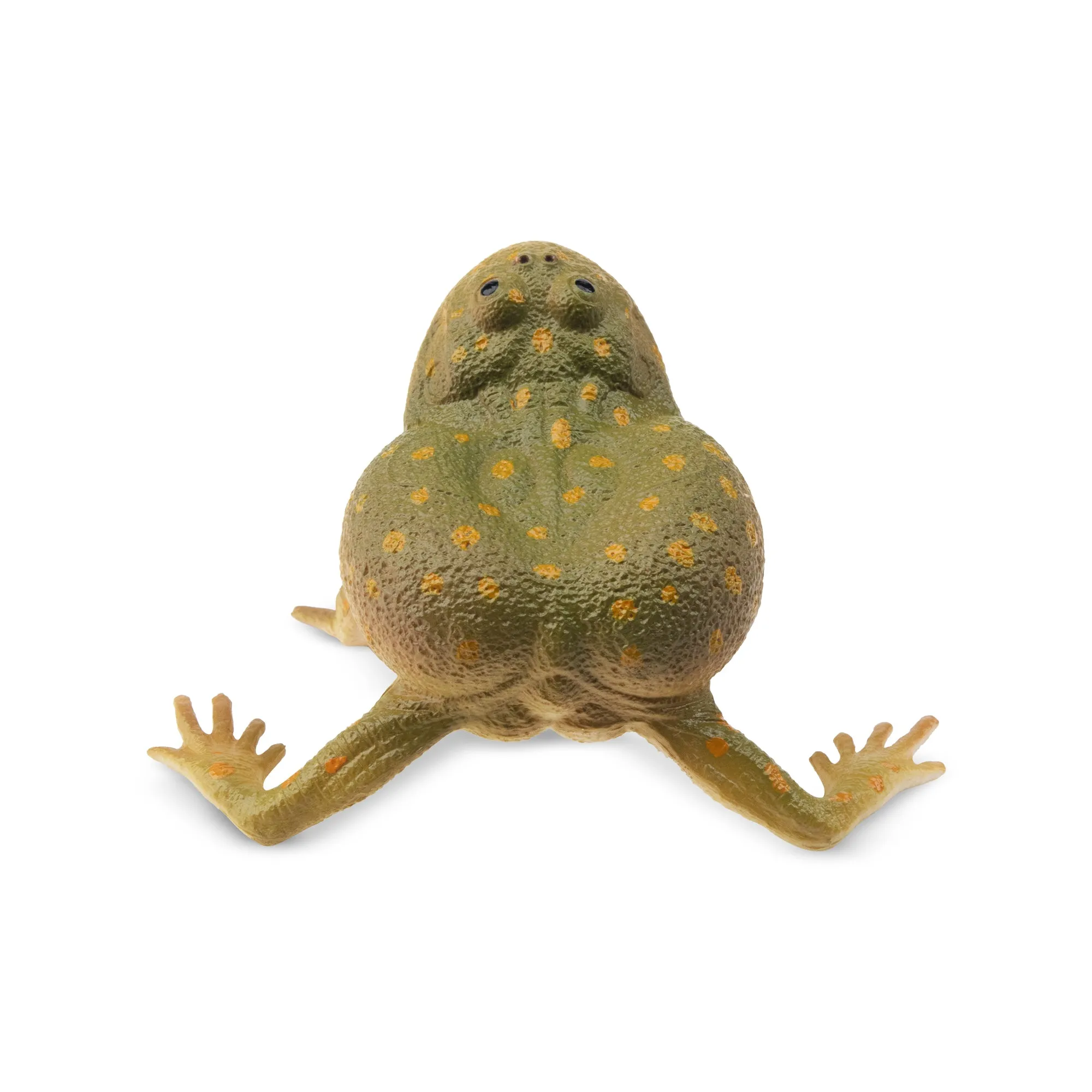 Toymany Budgett's Frog Figurine Toy