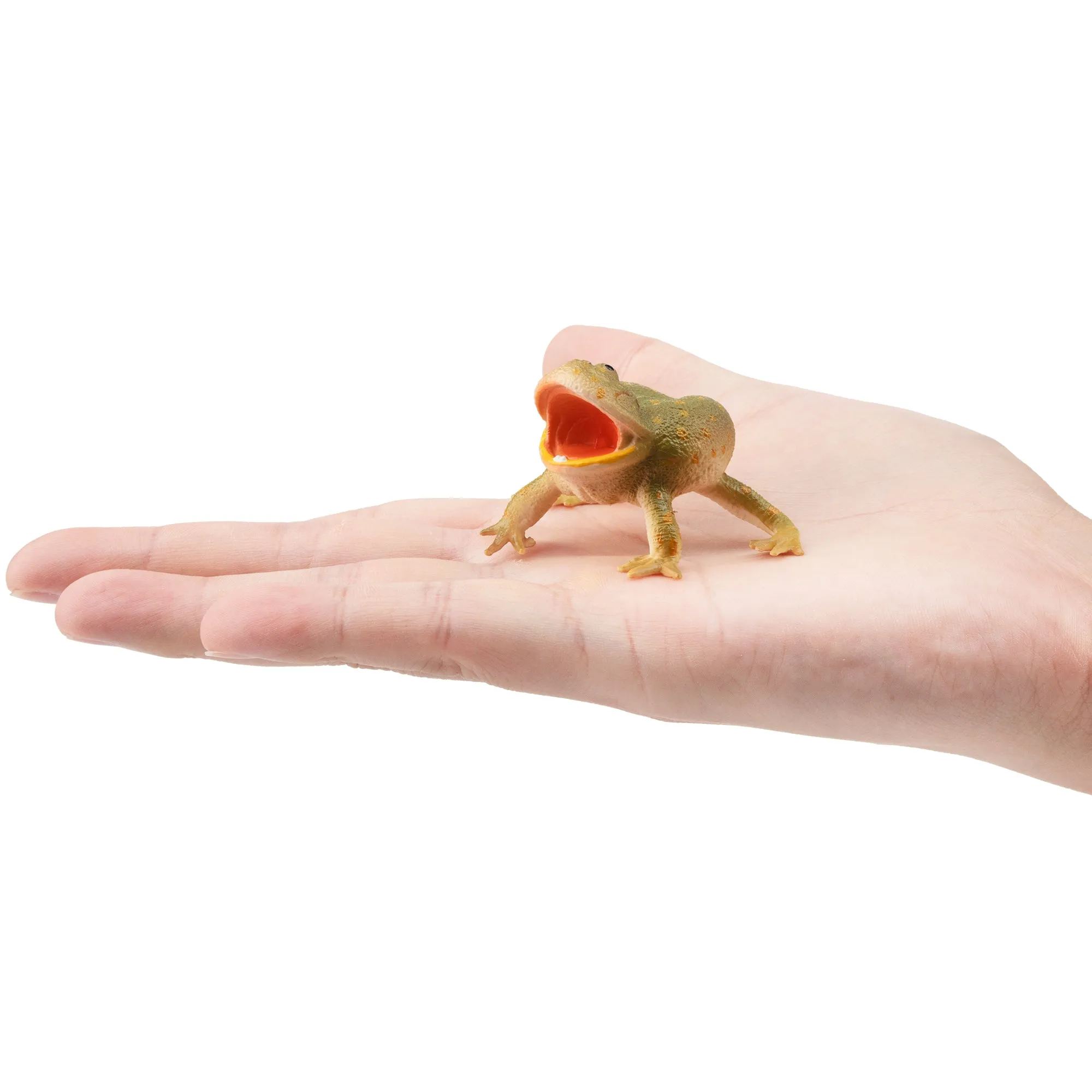 Toymany Budgett's Frog Figurine Toy